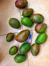 四川攀枝花凱特芒果9斤新鮮應(yīng)季水果芒果整箱包郵特大青忙果當(dāng)季 9斤 【特大果】單果600g+丨不甜包賠 曬單實拍圖