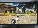 FSYDFHB網(wǎng)游周邊絕地求生端游PUBG吃雞steam主播定制匹配排位競技價(jià)格劃 小時(shí)版 曬單實(shí)拍圖