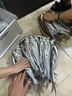 小鳳仙翹嘴超長行程漂S-NK草魚鳊魚鰱鳙魚漂S-NK01-1【吃鉛約3.5g】 曬單實(shí)拍圖