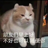 帕特帕特貓咪主糧果蔬配方成貓幼貓主食腸胃發(fā)育桑葚兔肉牛肉貓糧10kg 兔肉桑葚成貓糧 10kg 曬單實(shí)拍圖