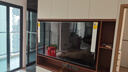 TCL電視 75V8L Pro 75英寸 144Hz高刷 QLED量子點 3GB+64GB大內(nèi)存 4K DeepSeek AI電視 國家補貼20% 曬單實拍圖