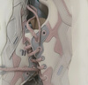 FILA FUSION 斐樂趙露思同款女鞋硬糖新款厚底休閑厚底老爹鞋運(yùn)動鞋 【貓爪】奶白/薄霧灰-GC 38 曬單實(shí)拍圖