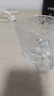 【夏季爆款】ins風(fēng)冰川紋玻璃杯帶把手高顏值喝水杯男女茶啤酒杯 把手冰川杯矮款 250ml 1只 曬單實(shí)拍圖