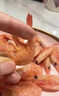 尚致北極甜蝦頭腹籽熟凍帶籽甜蝦進(jìn)口解凍即食元寶蝦生鮮蝦類(lèi)中秋禮盒 90/120【金標黃腹籽】 4斤(凈重) 曬單實(shí)拍圖