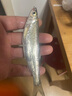 楓瀚魚竿 臺釣竿套裝 釣魚竿碳素 長節(jié)手竿 臺釣桿鯉魚竿釣魚桿超輕超硬鯽魚竿釣魚裝備漁具手桿組合全套 釣斷我賠 4.5米送4.5米+釣魚禮包 曬單實拍圖