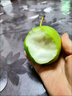 千園九味山東綠寶石梨時令水果新鮮青皮梨子脆甜多汁酥脆少渣皇冠翠蜜 優(yōu)選凈重4.5斤大果單果200g+ 曬單實拍圖