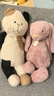 Jellycat巴塞羅熊動物毛絨玩偶兒童安撫公仔小熊潮玩送禮娃娃生日新婚禮物 巴塞羅熊 Large 曬單實拍圖