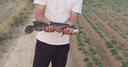 打黑專(zhuān)用土豆軟餌雷蛙遠投黑魚(yú)雷強打黑路亞餌套裝浮水軟蟲(chóng)假餌 雷蟲(chóng)白色6枚+送6枚加強曲柄鉤 曬單實(shí)拍圖
