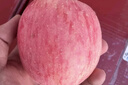 京鮮生山東煙臺(tái)紅富士 蘋(píng)果 凈重5斤單果200g+ 新鮮水果 源頭直發(fā) 曬單實(shí)拍圖