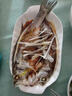 三去開(kāi)背鱸魚(yú)七星鱸魚(yú)新鮮烤魚(yú)半成品冷凍冰鮮特大開(kāi)背鱸魚(yú) 開(kāi)背鱸魚(yú)【650-750g左右/條】 3條 曬單實(shí)拍圖