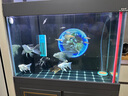 吉印刀鋒s魚缸燈led燈防水全光譜魚缸照明燈水草燈小型超白魚燈86cm 曬單實拍圖