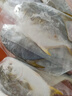 翔泰 海南金鯧魚凈重900g 2條裝  魚類生鮮 燒烤 火鍋食材 海鮮水產(chǎn) 曬單實(shí)拍圖