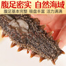 皇家麒麟 即食海參 即食大連刺參單個裝遼刺參海參干貨水產(chǎn)禮盒凈含量500g 7A即食海參 21-30只/斤 一斤裝 曬單實拍圖