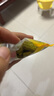 小鹿藍藍菠菠草莓餅干108g 寶寶零食兒童零食磨牙手指餅干 1桶 曬單實拍圖