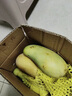 廣西金煌芒新鮮現摘大青芒生鮮水果當季整箱熱帶水仙芒果甜心芒果 3斤 【小果】單果100~120g 曬單實(shí)拍圖