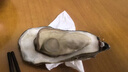 鮮海道（XIANHAIDAO）【活鮮】生蠔 鮮活乳山牡蠣貝類 源頭直發(fā) 3XL-凈重5斤 送禮 曬單實(shí)拍圖