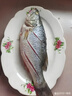 鮮活沖浪大鱸魚(yú)600-750g/條 曬單實(shí)拍圖