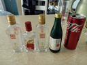 全興大曲 錦乙巳2025蛇年生肖小酒 52度純糧食釀造濃香型 52度 100mL 1瓶 曬單實(shí)拍圖