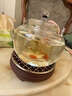 OIMG304食品級(jí)圓形烤網(wǎng)圍爐煮茶熏肉戶外烤架網(wǎng)片不銹鋼網(wǎng)電陶爐架子 食品級(jí)(304網(wǎng)格加粗)直徑8厘米 曬單實(shí)拍圖
