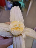 鯨蚨源福建紅美人香蕉現(xiàn)摘新鮮水果香甜火龍焦芭蕉小米蕉紅香焦整箱 5斤優(yōu)選紅美人香蕉 曬單實拍圖