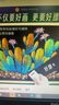 金值 彩色36色無塵粉筆無毒黑板報教師專用粉筆多色鮮艷黑板板報亮色繪畫顯色兒童教學彩色72支/盒  曬單實拍圖