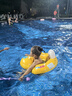 swimbobo兒童游泳圈防側(cè)翻男女童坐圈 小孩充氣浮圈安全坐圈兒童游泳裝備 黃色網(wǎng)兜款L(2-6歲 22-44斤） 曬單實拍圖
