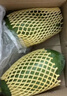 京鮮生 海南紅心木瓜 精選大果2粒裝 單果重約800-1000g 生鮮水果 曬單實(shí)拍圖