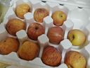正宗煙臺蘋果棲霞紅富士蘋果水果脆甜新鮮水果整箱生鮮山東特產(chǎn) 凈重4.5斤75mm 曬單實拍圖