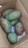 京鮮生 攀枝花凱特芒果 凈重7.5斤 單果400g+ 生鮮水果 源頭直發(fā) 曬單實(shí)拍圖