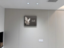 致匠心黑白蝴蝶電表箱裝飾畫(huà)簡(jiǎn)約高級感鐘表餐廳配電箱弱電源盒遮擋掛畫(huà) A-簡(jiǎn)雅蝶影 50*40cm（遮擋40*30） 格調黑（鋁合金畫(huà)框+晶瓷工藝） 液壓款【數顯接線(xiàn)款】 曬單實(shí)拍圖