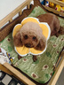 華元寵具（hoopet）狗狗伊麗莎白圈項(xiàng)圈小型犬寵物貓咪頸圈脖圈頭套貓伊利沙白圈頭罩 曬單實(shí)拍圖