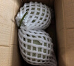 京鮮生蜜蜂授粉牛三蜜瓜網(wǎng)紋瓜 單果2斤起 凈重8-9斤 2-4粒裝源頭直發(fā) 曬單實(shí)拍圖