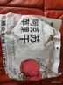 新邊界（new boundaries）阿克蘇蘋果干500g 高膳食纖維獨(dú)立包裝新疆冰糖心無核蘋果肉零食 曬單實(shí)拍圖