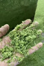 獵瑞超細牧草打漿機青草秸稈碎草機家用養殖干濕兩用多功能玉米粉碎機 家用款打漿機-不含電機 曬單實(shí)拍圖