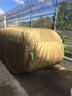 御山河汽車車衣車罩通用防曬防雨雪隔熱遮陽(yáng)加厚防冰雹全罩車套外保護(hù)套 （四季通用推薦 ）【卡其色】420D牛津布車衣 專車定制【下單請(qǐng)備注車型或聯(lián)系客服】 曬單實(shí)拍圖