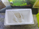 黑殼蝦熱帶觀(guān)賞蝦活體淡水寵物彩色蝦櫻花蝦草缸除藻蝦工具蝦包郵 1-1.5cm黑殼蝦50只送10只備損 曬單實(shí)拍圖