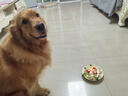petlimit寵物拾便袋狗狗貓咪撿屎袋加厚鏟屎袋香味垃圾袋紫色3盒 曬單實拍圖