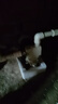 臣源增壓泵家用全自動(dòng)自吸泵熱水器自來(lái)水全屋太陽(yáng)能抽水泵加壓管道泵 480W智能(缺水保護(hù)/液晶數(shù)顯) 曬單實(shí)拍圖