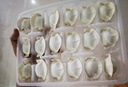 白象0+ 韭菜豬肉水餃 生鮮健康早餐夜宵 速凍食蒸餃子鍋貼 720g36只 曬單實拍圖