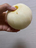 閩域?qū)r秋月梨【多地次日達】正宗萊陽羊脂梨秋月豐水梨中秋送禮水果禮盒 嚴選果｜送禮推薦禮盒裝｜甜 3斤裝｜嘗鮮裝｜凈2.5斤 曬單實拍圖