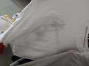 卡圖弛潮牌痞帥高街短袖t恤男夏季美式復古純棉蝴蝶高級感五分半截袖 白色 L 曬單實拍圖
