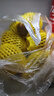 佳沛（zespri）新西蘭陽光金奇異果 8個裝 特大果單果重約122-146g 水果獼猴桃 曬單實拍圖