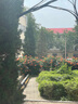 適用蘋(píng)果后蓋玻璃iPhone8p/xr/xs/xsmax/11pm/12/13/14防摔后玻璃 大孔玻璃送工具包 蘋(píng)果12PRO海藍色 曬單實(shí)拍圖