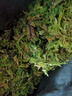 干苔蘚天然優(yōu)質(zhì)青苔蝴蝶蘭花專用水苔石斛種植營(yíng)養(yǎng)土爬寵烏龜墊材 優(yōu)選散裝苔蘚【250g】 曬單實(shí)拍圖