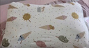 莫爾兔兒童枕頭6-12歲小學(xué)生1-3歲寶寶幼兒園護(hù)頸枕10-15a類青少年枕頭 H1【適合1-3歲】 +四季純棉枕套 曬單實(shí)拍圖