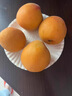 陜西大黃杏子新鮮水果2025當季特大巨蜜金太陽(yáng)杏酸甜杏子整箱 5斤 【精選大果】 曬單實(shí)拍圖