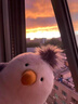 JELLYCAT正品英國(guó)Jellycat奇珀海鷗可愛(ài)柔軟毛絨玩具安撫玩偶公仔禮物送禮 奇珀海鷗均碼25cm 曬單實(shí)拍圖