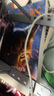 貓武士一部曲 預言開始 Warriors The Prophecies Begin 6冊 英文原版 兒童課外閱讀奇幻成長勵志進階章節(jié)橋梁書 5-15歲 700L-850L  小學教輔 曬單實拍圖