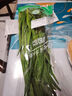 【產(chǎn)地直采】綠色韭菜250g 曬單實拍圖