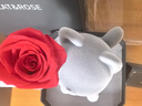 Cat&Rose永生花貓咪禮盒圣誕情人節送女友送閨蜜生日結婚禮物玫瑰花擺件 曬單實(shí)拍圖